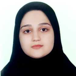 نویسنده: حاجی پور